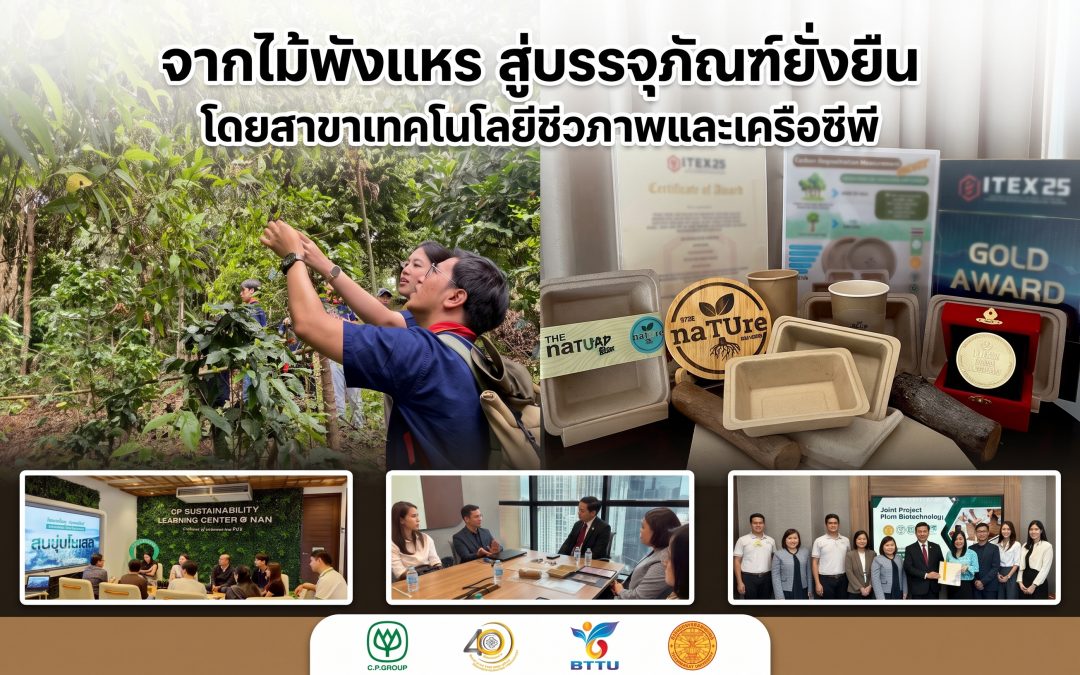 สาขาเทคโนโลยีชีวภาพ ม.ธรรมศาสตร์ จับมือ เครือซีพี ต่อยอด “ไม้พังแหร” สู่นวัตกรรมบรรจุภัณฑ์ยั่งยืน คว้ารางวัลระดับโลก
